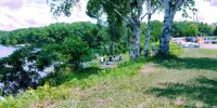 Pet Friendly, Brunet Island Studio, Ice Age Trail, Old Abe Trail, Kayak Docks