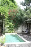18 Century Provencal Mas With Swimming Pool - piscina