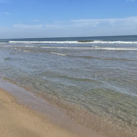 Relax, unwind in beautiful coastal cottage near exquisite Cape Hatteras Seashore