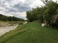 La Hacienda Rio on Medina River - Tranquility Life - 4-Star