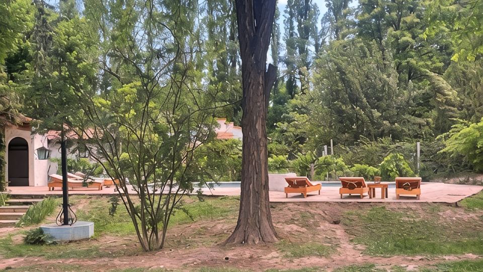 Terra Campo Posada