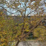 Angara Hotel - 2-Star