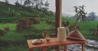 Le Pandai