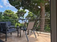 House Pine Tree - Homestays