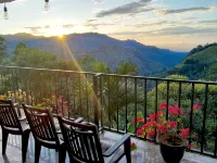 Golden View Guest Ella