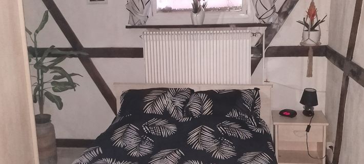 Basement apartment close to the center of Colmar, with private garden. Hotels in Colmar