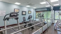 Holiday Inn Express & Suites CUERNAVACA by IHG - gimnasio