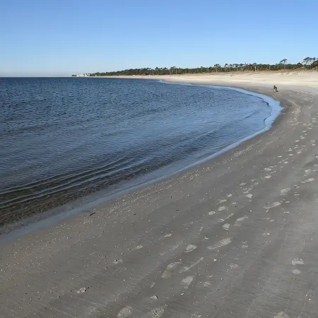 Gorgeous Magnolia Cottage: With Bicycles/Beach Equipment- Pet Friendly! Private!