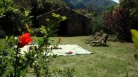 Mas Els Terrats - Villaer