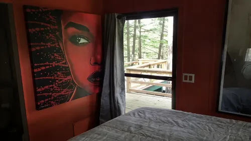 Peaceful Nest / Nirvana Amidst Trees