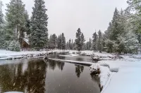 The Cabin Of Your Dreams - 4 stjerner