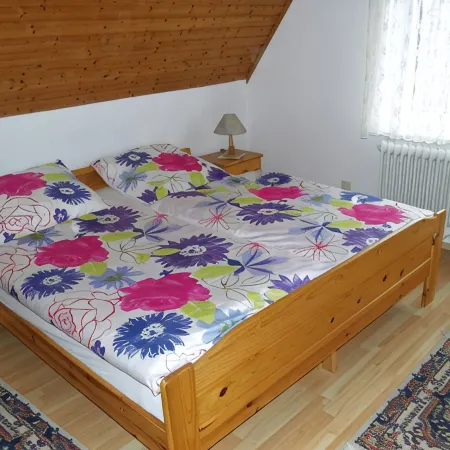 Beautiful fine apartment with garden, meadow, view of water and land