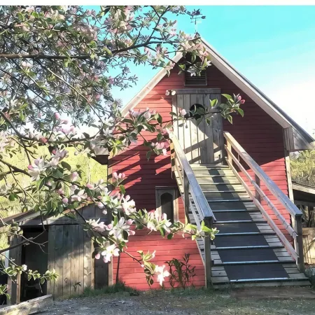 Genuine Farm Experience! Barn Loft on Organic Farm—rooster and Chickens below!