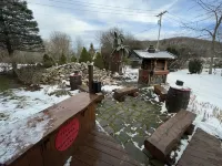 Rental House located TWO minutes walking distance to Ellicottville town! - 民泊