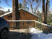 Peaceful Cozy Cabin Amongst the Trees with View of Lake Arrowhead - Chalets