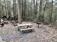 Creekside Log Cabin w/firepit, near quaint towns Thomas/Davis & many state parks - 3-Star