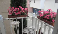 Cozy Beach Apartment in Trendy Belmont Shore!  Sanitized and Clean! - Condos
