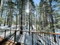 Hibernation Station Peaceful Cabin Retreat - Fireplace, Hiking, Blue Lake Spring - Gym