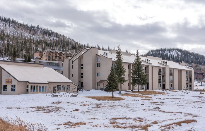3 BR, 3 Bath sleeps 10.  Next to Giant Steps Lodge.  Ski in/out
