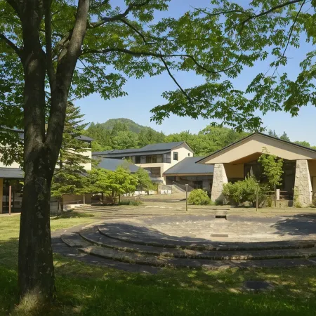 Conifer Iwabitsu