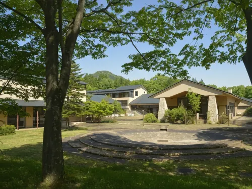 Conifer Iwabitsu - Spa