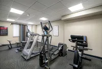Badlands Inn & Suites - salle de sport