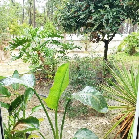 Villa in Aroeira / Verdizela - Pool, Beach, Surf, Golf Hoteles en Corroios