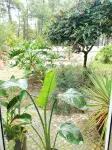 Villa in Aroeira / Verdizela - Pool, Beach, Surf, Golf - Wifi