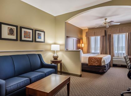 Comfort Suites San Marcos