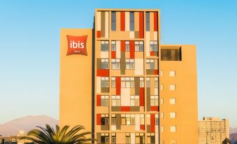 Ibis Copiapo