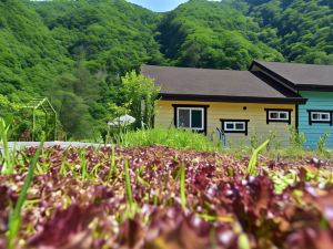 정선 덕산기의아침펜션