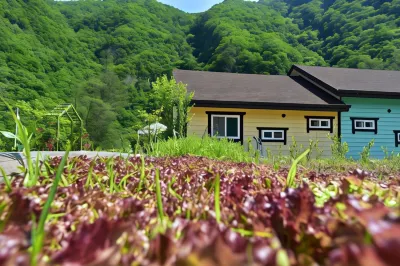 정선 덕산기의아침펜션 아라리촌 주변 호텔
