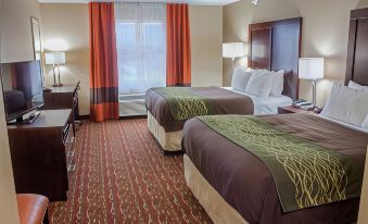 Comfort Inn & Suites Artesia