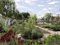 Spier Hotel and Wine Farm Hotels in 