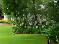 De Witt'e Guest House