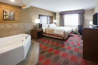 Gateway Park Hotel and Suites - Tea Sioux Falls - Bares