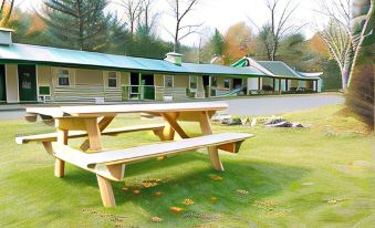 Black Bear Lodge