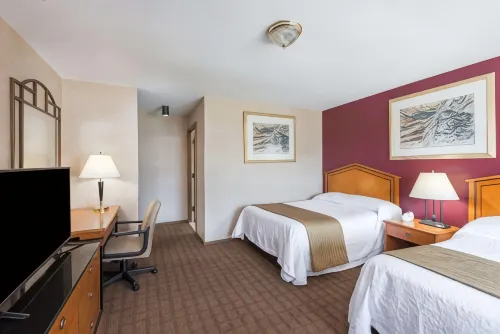Elite Inn - Wifi