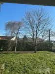 Les Bords de la Lizaine - Bed and Breakfasts