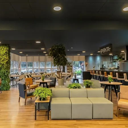 Ibis Piracicaba