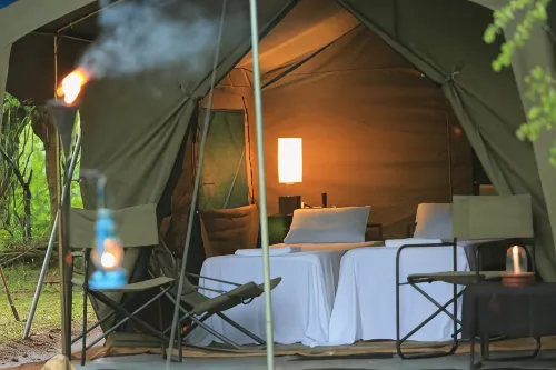 Big Game - Wilpattu by Eco Team - camping