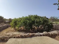 House Sell of Sa Punta. located in a rustic environment and easy access rest island.