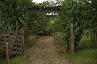 Mirador Prendas