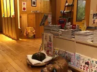Pension Famille Hotels in Nishigō