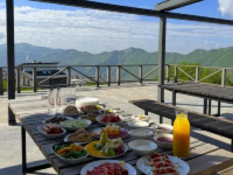 Alpina Hotel Hotels in Gudauri