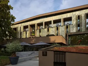 Popular Premium Hotels in Colmar