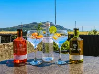 Glenisle Hotel Hotels in Lamlash