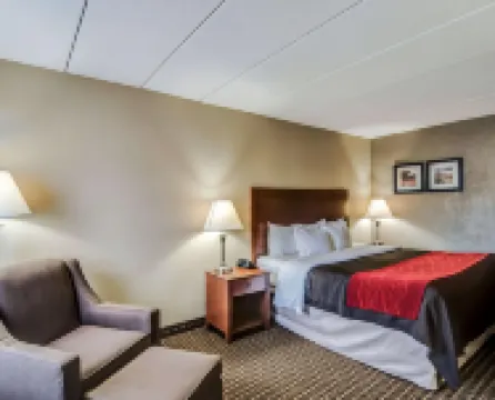 Comfort Inn & Suites Raphine - Lexington Near I-81 and I-64 Hotels in Rockbridge County