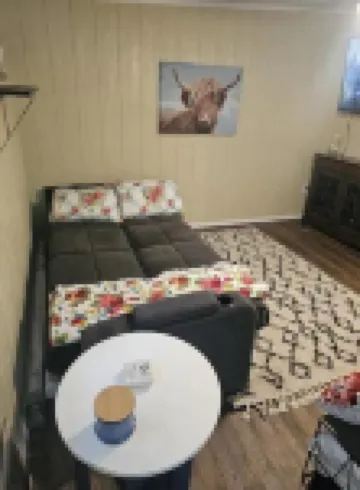 Cottage slps 4 with 2 beds, ice mach, washer/Dryer,kitchenette,hot tub, pets.