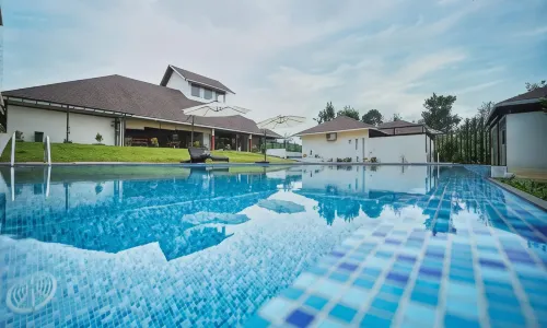 Jungle Bay Resorts & Spa